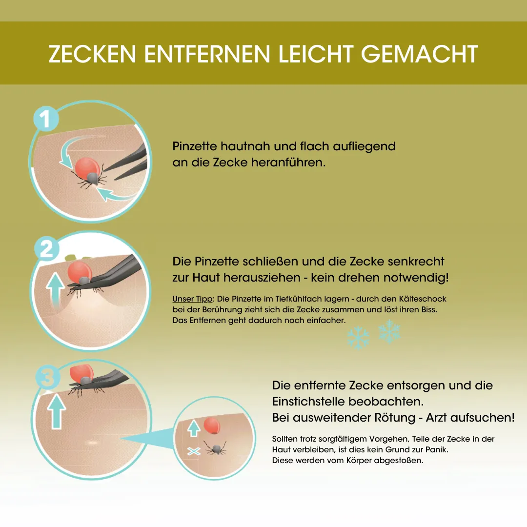 Canal Zeckenpinzette gebogen 12 cm Edelstahl