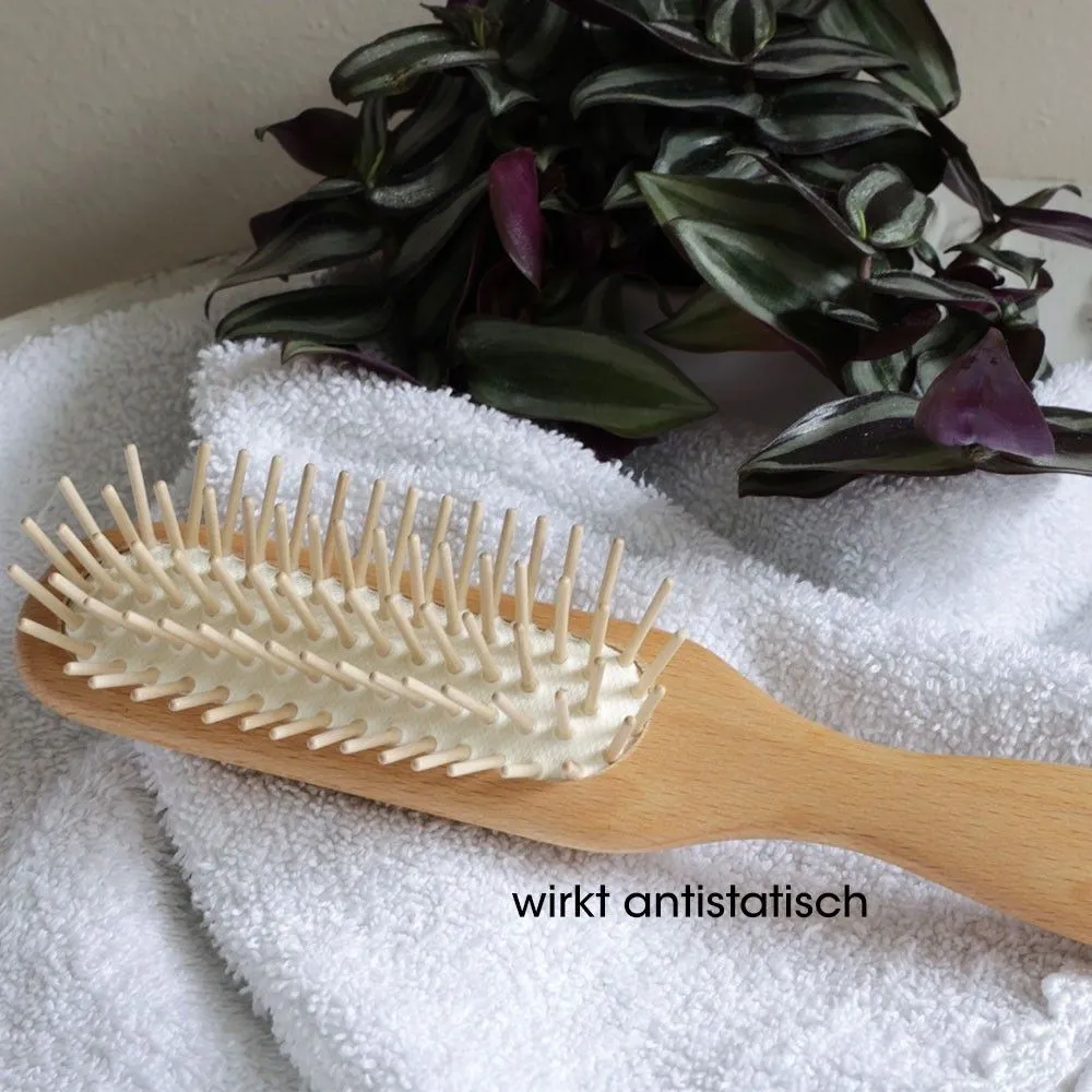 Canal Instrumente Haarbürste Holzstifte breit 22 cm