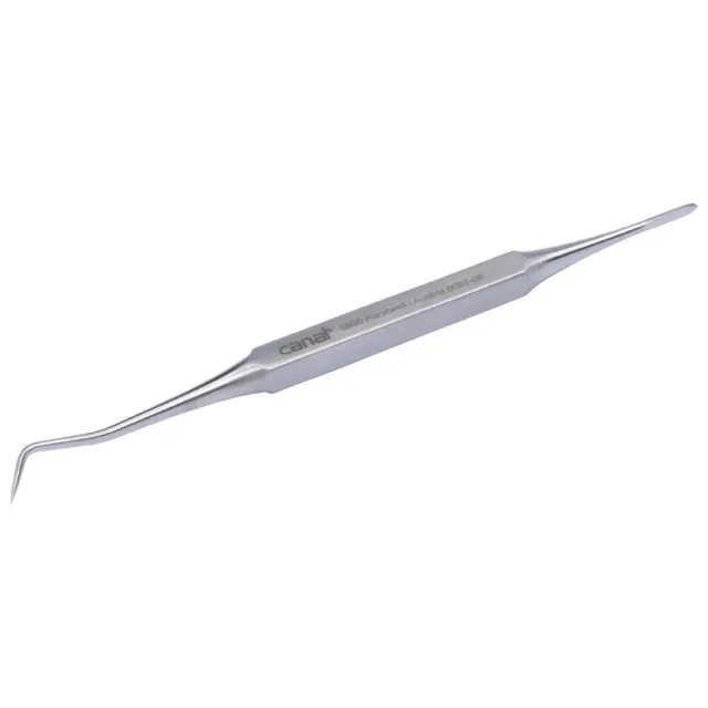 Canal Instrumente Zahnstocher Edelstahl rostfrei 9 cm