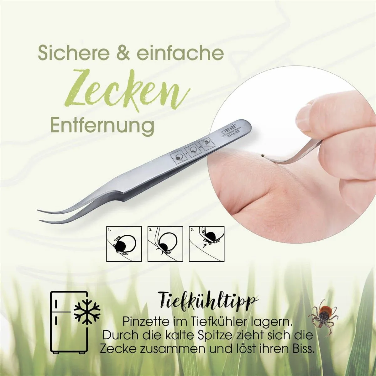 Canal Zeckenpinzette gebogen 12 cm Edelstahl