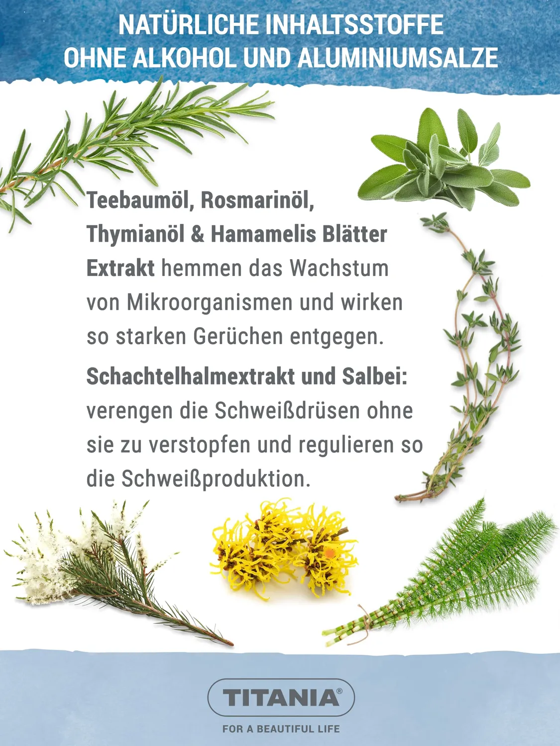 Titania Fußspray Antitranspirant 100 ml ohne Alkohol
