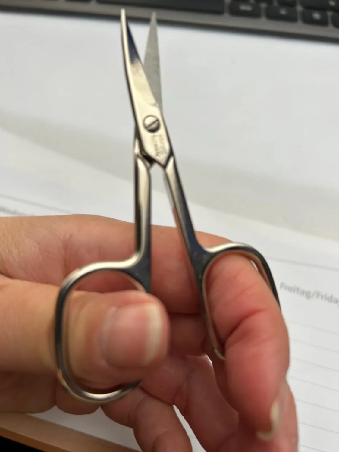 Titania Nagelschere Solingen gebogen 9,5 cm Carbonstahl