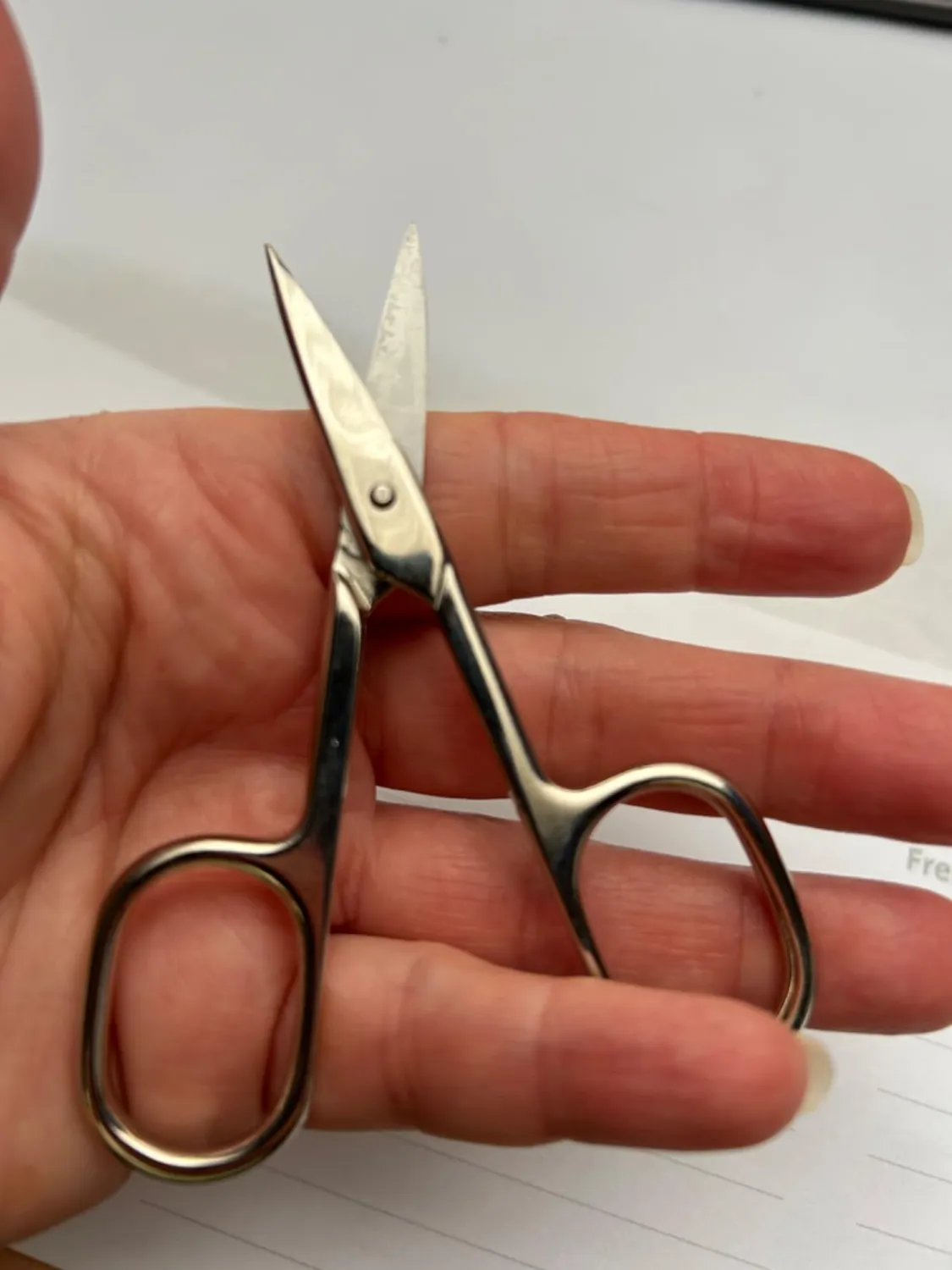 Titania Nagelschere Solingen gebogen 9,5 cm Carbonstahl