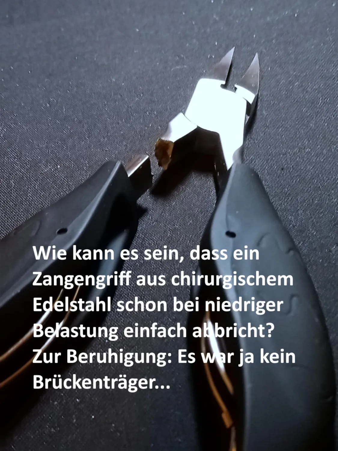 INXEN Profi Nagelzange Nagelknipser Edelstahl Flügelgriff