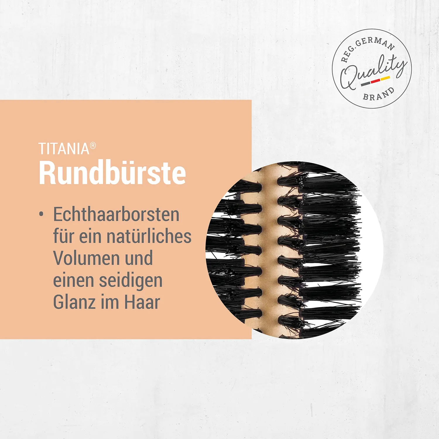 Titania Rundbürste Buchenholz Wildschweinborsten
