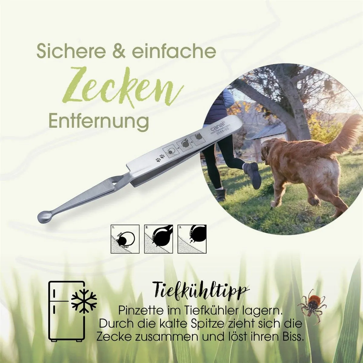 Canal Zeckenpinzette für Tiere rostfrei 12 cm